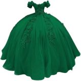 Women colorful off-the-shoulder appliqué formal party dress with tulle appliqués（Processing time need 3-6 days）