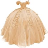 Women colorful off-the-shoulder appliqué formal party dress with tulle appliqués（Processing time need 3-6 days）