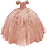 Women colorful off-the-shoulder appliqué formal party dress with tulle appliqués（Processing time need 3-6 days）