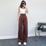 Women Spring/Summer Casual Elegant Straight-Leg Pants