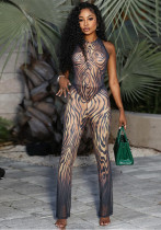 Women's Summer Autumn Mesh Printed Halter Neck Lace-Up Top and Pants Set Women's Summer Autumn Mesh Printed Halter Neck Lace-Up Top and Pants Set