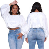 Bat Sleeves Zipper Cropped Top