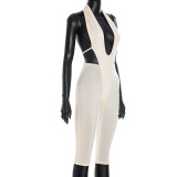 Women's Sexy Solid Color V-Neck Halter Neck Low Back Tie Waist Jumpsuit