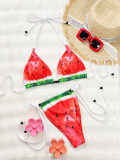 Women Sexy Lace-Up Bikini Two-Pieces Swimwear