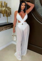 Sexy V-Neck Tie Low Back See-Through Jumpsuit with Long Pants for Women