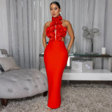 Sexy Halter Neck Large Floral Evening Gown Dress for Women