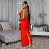 Sexy Halter Neck Large Floral Evening Gown Dress for Women