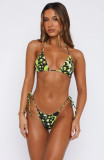 Bikini Triangle Cup Print Sexy Two Pieces Swimsuit