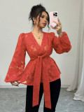 Women's Fashion Spring Autumn Sexy Sheer Long Sleeve V-Neck Blouse