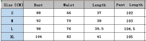 Women's Summer Holidays Chic Print Halter Neck Vest Wide Leg Pants Set