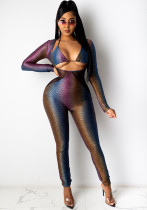 Women's Zipper Sexy Mesh Patchwork Jumpsuit