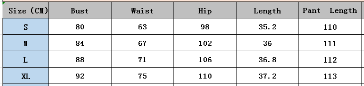 Women's Casual Sleeveless Solid Top Leopard Print Pants Two-Piece Set