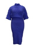 Plus Size Solid Color Bubble Bat Sleeves Top and Skirt Two-Piece Set