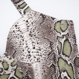 Women Fall Snake Print Halter Neck Sleeveless Top and Pants Two-Piece Set