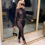 Women Sexy Mesh Patchwork Print Top and Pant Two-Piece Set
