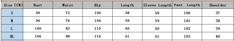 Women's Street Fashion Casual Slim Denim Blazer Pants Set