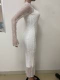 Women Lace Sleeve See-Through Sleeve Sexy Dress