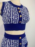 Women Round Neck Sleeveless Geometric Pattern Top and Skirt Two-Piece Set