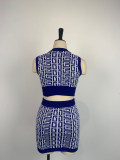 Women Round Neck Sleeveless Geometric Pattern Top and Skirt Two-Piece Set
