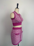 Women Round Neck Sleeveless Geometric Pattern Top and Skirt Two-Piece Set