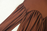 Women Slash Solid Pleated Elegant Turtleneck Long Sleeve Bodycon Dress