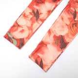 Women Fall/Winter Round Neck Floral Print Long-Sleeved Top and Pants Two-Piece Set