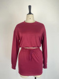 Women Long-Sleeved Solid Bodycon Skirt Two-Piece Set