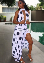 Black White Polka Dot Women's Slit Print Irregular High Neck Tie Low Back Dress Black White Polka Dot Women's Slit Print Irregular High Neck Tie Low Back Dress