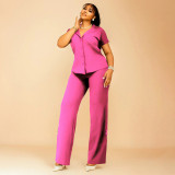 Plus Size Women's Casual V-Neck Short Sleeve Loose Two-Piece Pants Set