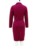Women's Autumn Chic Turndown Collar High-Waisted Belted Office Dress