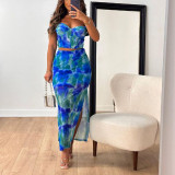 Women Printed Cropped Top and Skirt Two-Piece Set