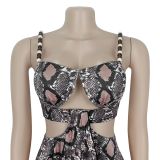 Fashion Women's Sexy Snake Pattern Print Strap Dress