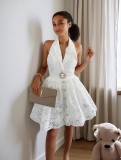 Women's Autumn Solid Color Sleeveless V-Neck Halter Neck Low Back A-line Chic Dress