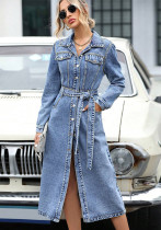Women Fall/Winter Long-Sleeved Dress