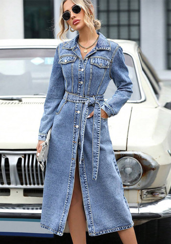 Women Fall/Winter Long-Sleeved Dress