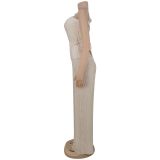 Women Solid Sleeveless Top and Pant Two-Piece Set