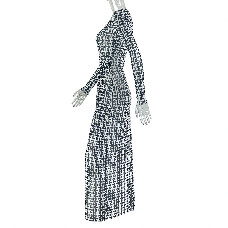 Chic Women's Semi-Sheer Slim Waist Printed High Neck Long Sleeve Slit Dress