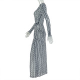 Chic Women's Semi-Sheer Slim Waist Printed High Neck Long Sleeve Slit Dress