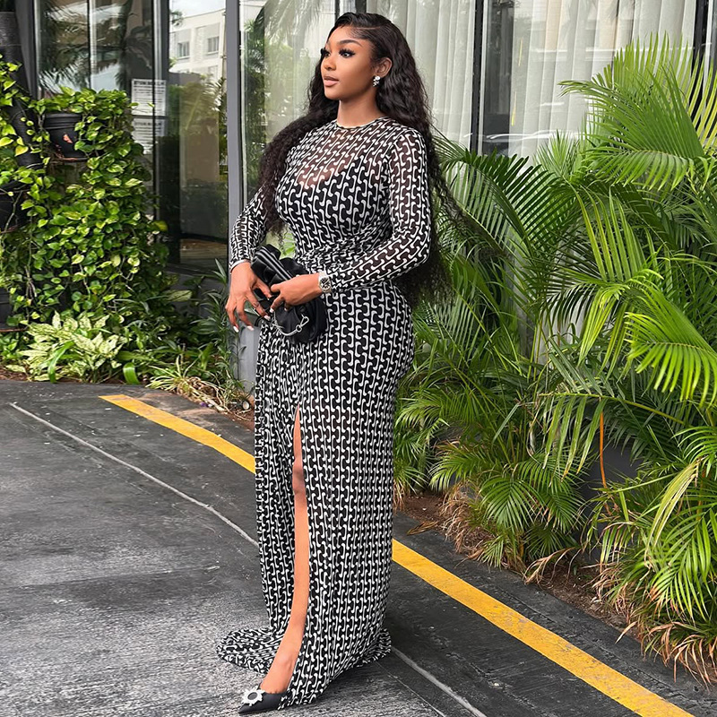 Chic Women's Semi-Sheer Slim Waist Printed High Neck Long Sleeve Slit Dress