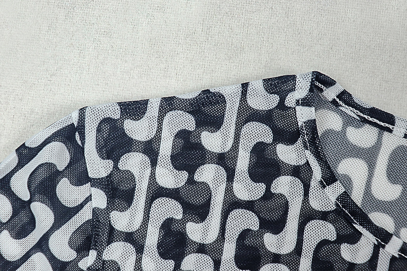 Chic Women's Semi-Sheer Slim Waist Printed High Neck Long Sleeve Slit Dress