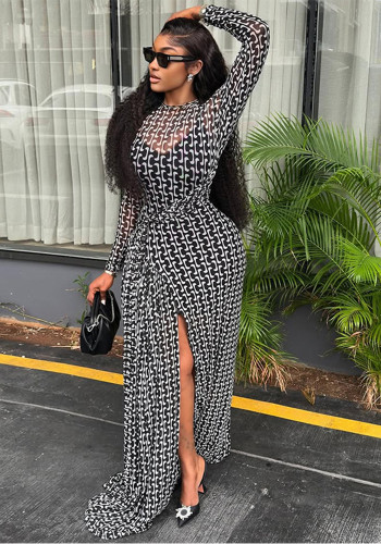 Chic Women's Semi-Sheer Slim Waist Printed High Neck Long Sleeve Slit Dress