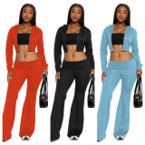 Women's Fashion Casual Solid Color Hooded Two Piece Pants Set