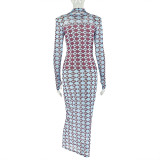Women's Chic Semi-Sheer Printed High Neck Long Sleeve Fitted Bodycon Dress