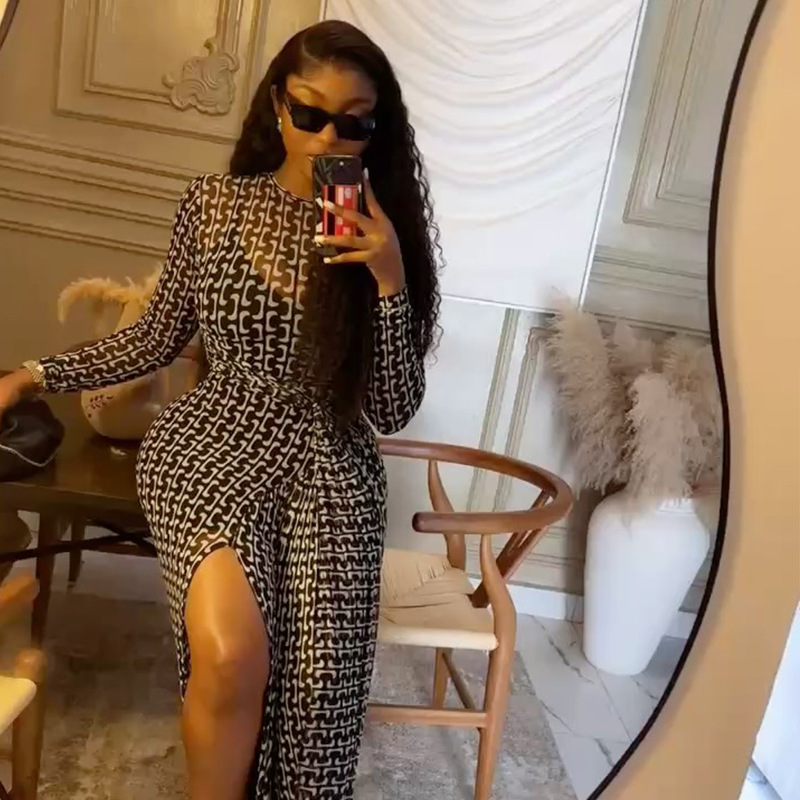 Chic Women's Semi-Sheer Slim Waist Printed High Neck Long Sleeve Slit Dress