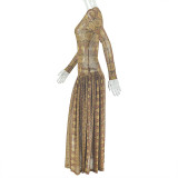 Elegant Women's Slim Waist Semi-Sheer Printed Round Neck Long Sleeve A-Line Dress