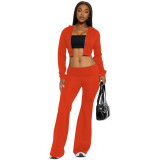 Women's Fashion Casual Solid Color Hooded Two Piece Pants Set