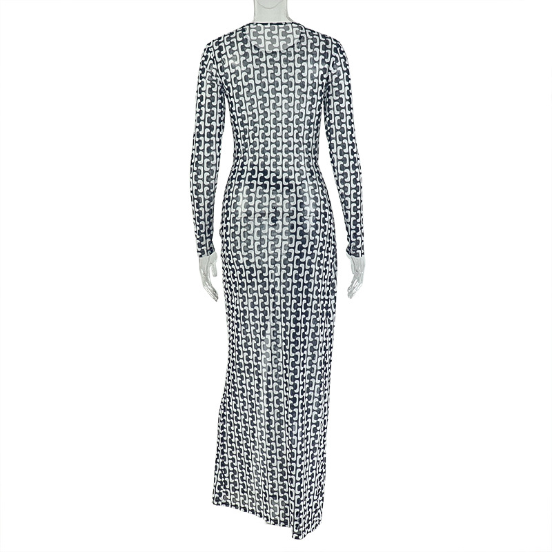 Chic Women's Semi-Sheer Slim Waist Printed High Neck Long Sleeve Slit Dress