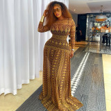 Elegant Women's Slim Waist Semi-Sheer Printed Round Neck Long Sleeve A-Line Dress