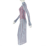 Women's Chic Semi-Sheer Printed High Neck Long Sleeve Fitted Bodycon Dress