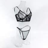 Fashion Black Daisy Embroidered Sexy See-Through Push-Up Lingerie Set